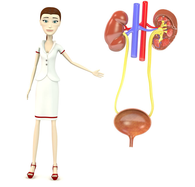 נפרולוגיה ילדים