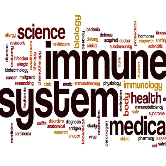 אימונולוגיה