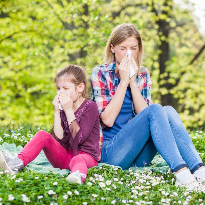 אלרגיה בעונת המעבר