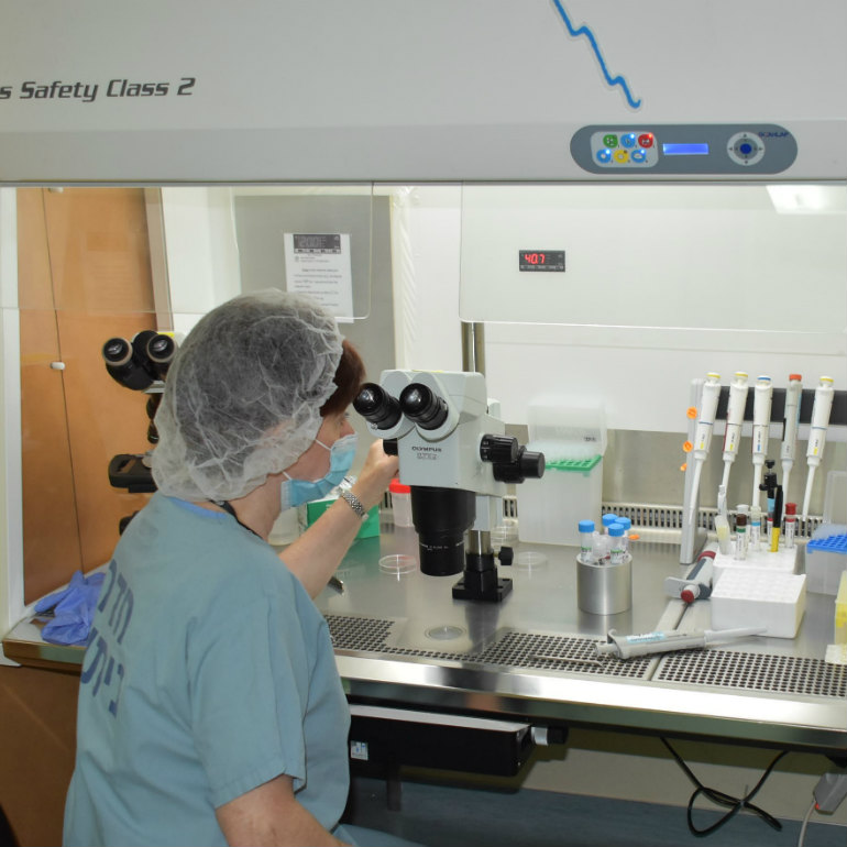 אבחון טרום השרשתי - צילום מיקרוסקופ