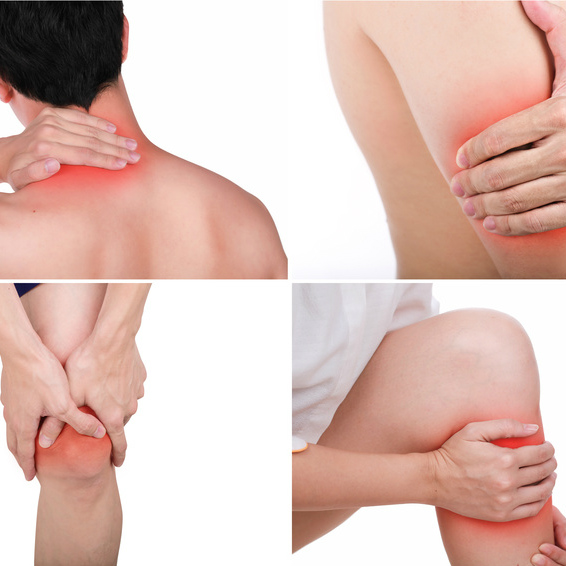 סובלים מכאבי גב וברכיים?