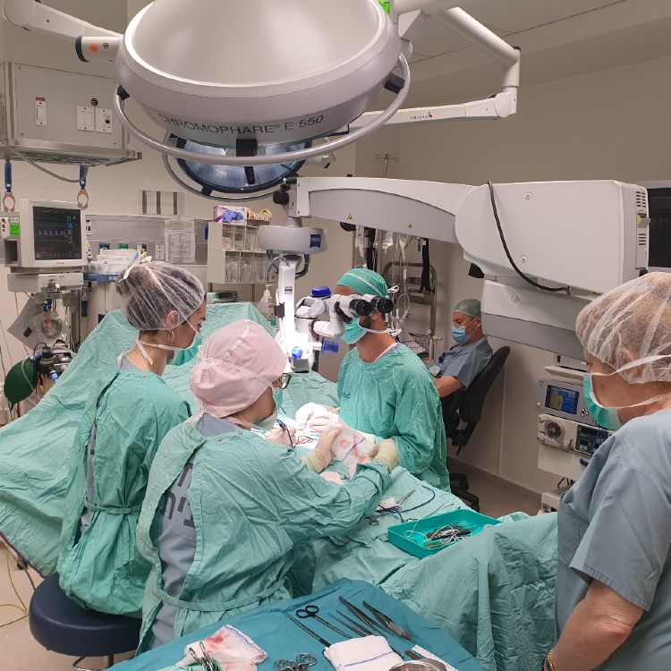 ניתוח מיקרוסקופי