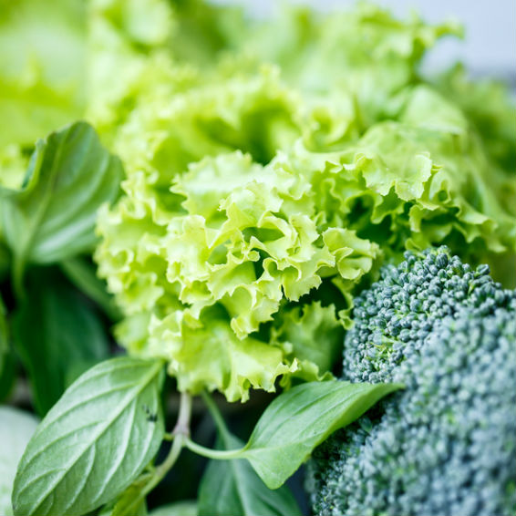 ירקות ירוקים