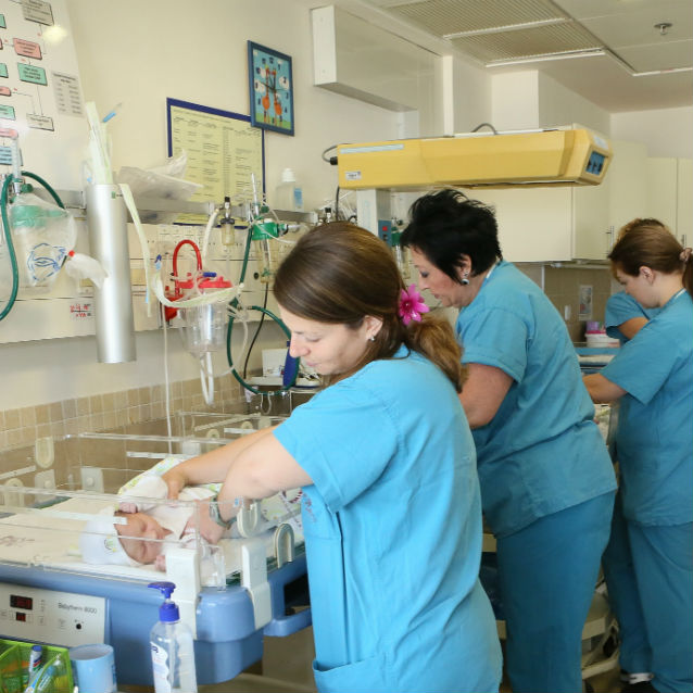 צוות התינוקייה והתינוקות החדשים של תשעו, כפי שצולמו הבוקר