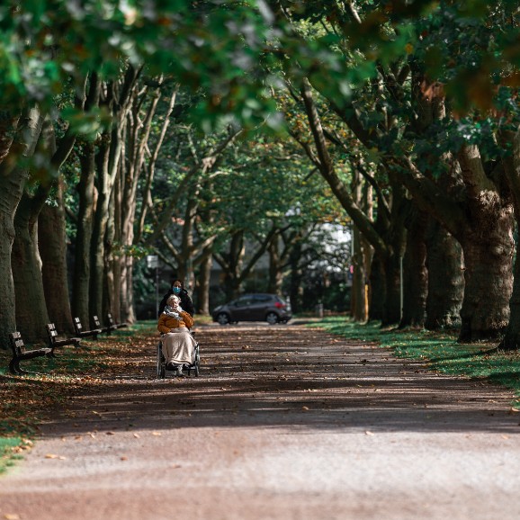 מחלות נוירו?אימונולוגיות